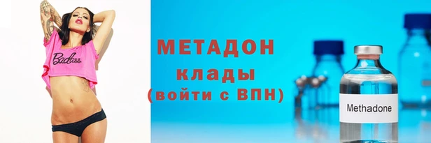 стаф Алексин